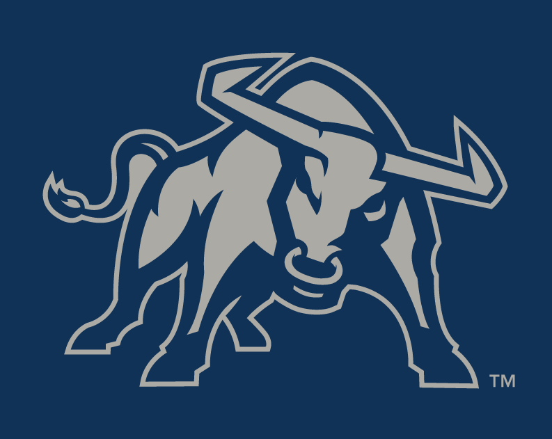 Utah State Aggies 2012-Pres Alternate Logo v3 diy iron on heat transfer